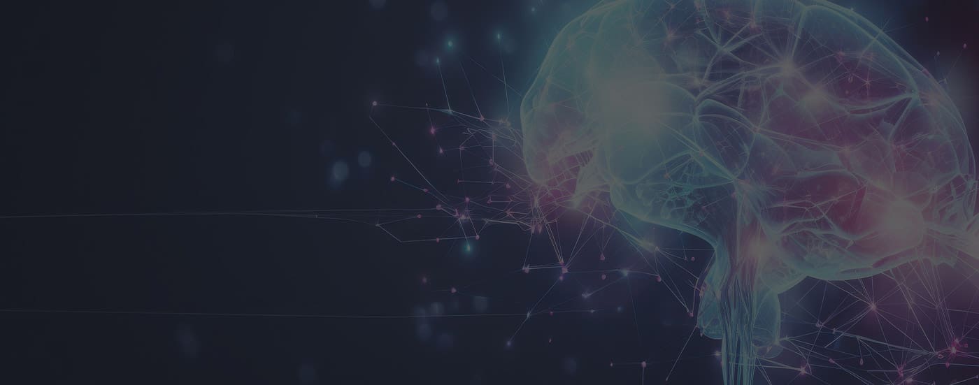 stylized diagram image of the human brain